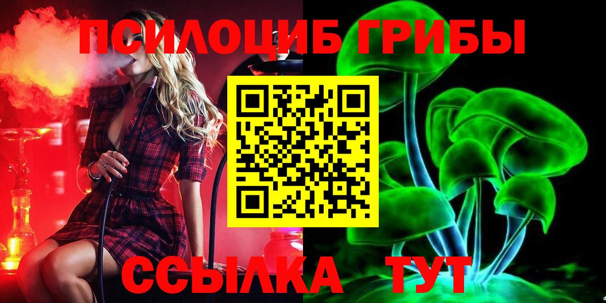 Гагарин  Псилоцибиновые грибы мухоморы  Вход с VPN 