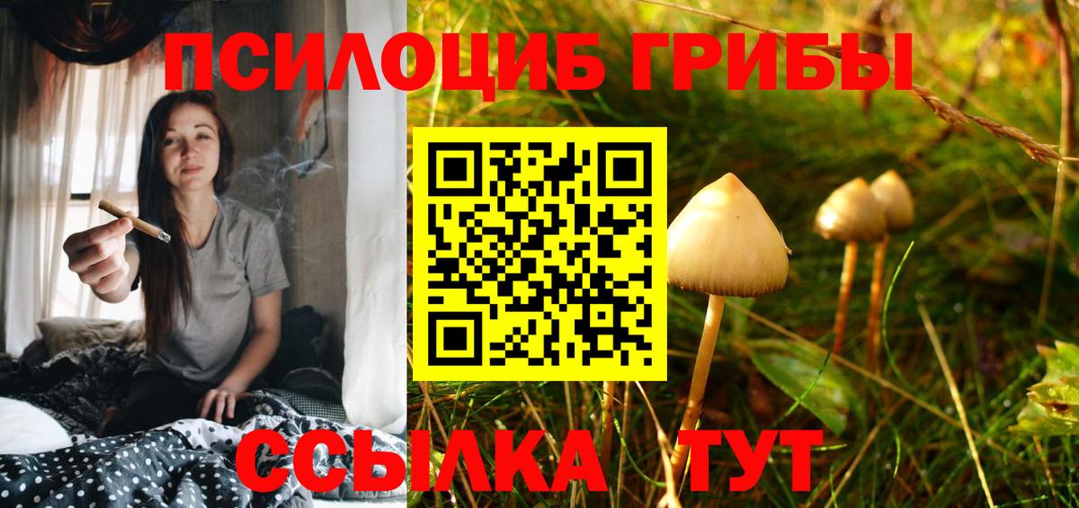 Псилоцибиновые грибы Magic Shrooms Гагарин